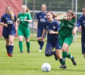Alberweiler II - FCW17.jpg