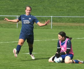 Alberweiler IIi - FCW38.jpg