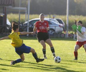 Baltringen - FCW13.jpg