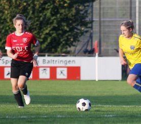 Baltringen - FCW43.jpg