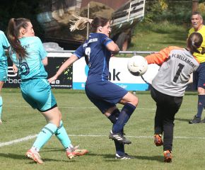 Bellamont II - FCW42.jpg