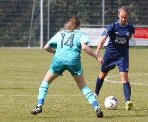 Bellamont II - FCW48.jpg