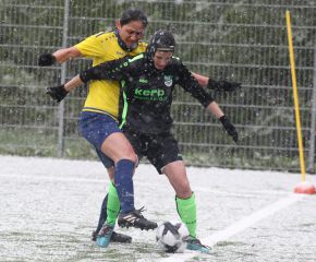 FCW - Alberweiler4.jpg