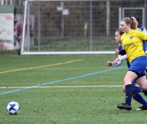 FCW - Bellamont II8.jpg