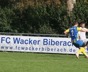 FCW - Birkenhard 23-243.jpg