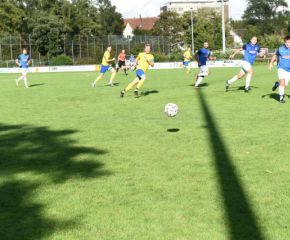 FCW - FVB8.jpg