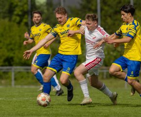 FCW - Neufra23.jpg
