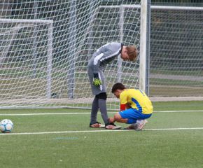 FCW - Oberzell4.jpg