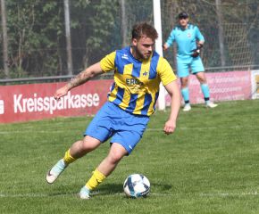 FCW - Ringschnait36.jpg