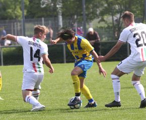 FCW - Ringschnait37.jpg