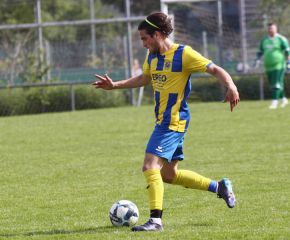 FCW - Ringschnait40.jpg