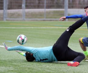 FCW - SGM Birkenhard9.jpg