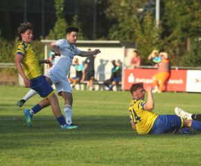 FCW - SGM Ringschnait10.jpg