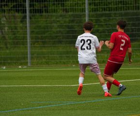FCW- TSV TT34.jpg