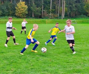 HOchdorf III - FCW III6.jpg