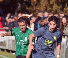 Ringschnait - FCW19.jpg
