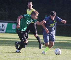 Ringschnait - FCW43.jpg