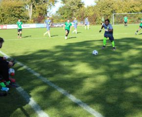 SGM RIngschnait - FCW62.jpg
