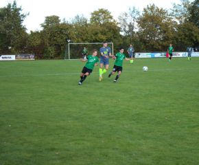 SGM RIngschnait - FCW8.jpg
