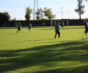 SGM RIngschnait - FCW97.jpg