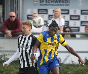 Schwendi - FCW 23-2429.jpg