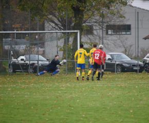 fcw-berkheim16.jpg