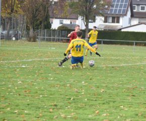 fcw-berkheim8.jpg