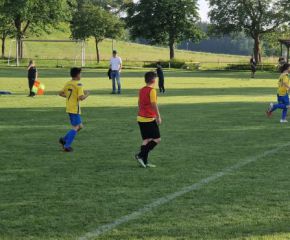 ochsenh. I - FCW I1.jpg