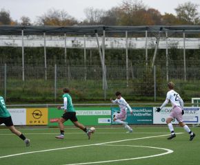 Ailingen - FCW13.jpg