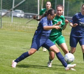 Alberweiler II - FCW30.jpg