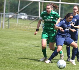Alberweiler II - FCW31.jpg