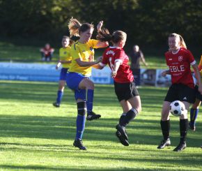 Baltringen - FCW16.jpg