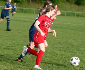 Baltringen - FCW22.jpg