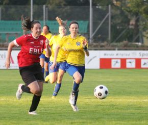 Baltringen - FCW72.jpg