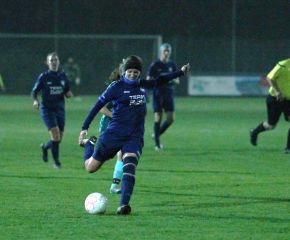 Bellamont - FCW7.jpg