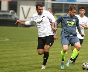 Bellamont - FCW8.jpg