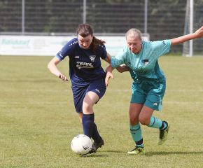 Bellamont II - FCW40.jpg