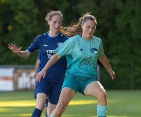 Bellamont III-FCW2.jpg