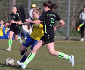 FCW - Alberweiler III19.jpg