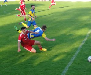FCW - Motscha29.jpg