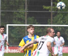 FCW - Ringschnait11.jpg