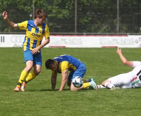 FCW - Ringschnait23.jpg