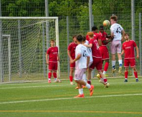 FCW- TSV TT6.jpg
