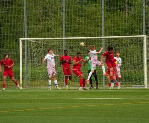 FCW- TSV TT73.jpg