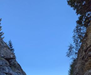 Jugendtrainer Laterns20.jpg