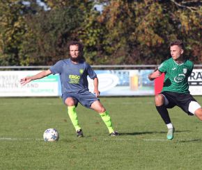Ringschnait - FCW16.jpg