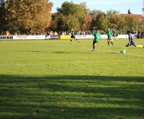SGM RIngschnait - FCW124.jpg