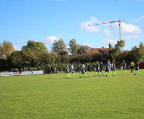 SGM RIngschnait - FCW2.jpg