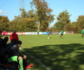 SGM RIngschnait - FCW51.jpg
