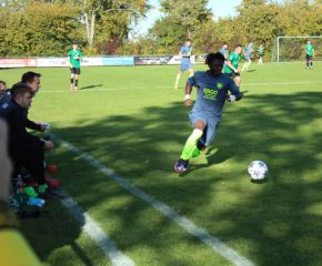 SGM RIngschnait - FCW67.jpg